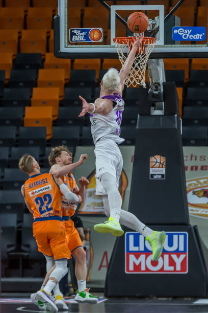 仅展示了凯 仅展示了凯