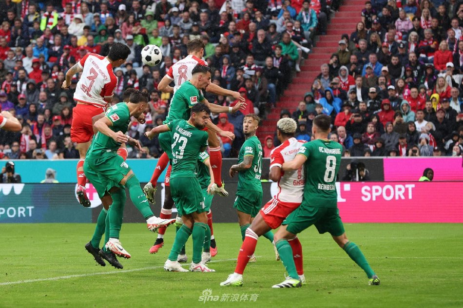 他们精准的 他们精准的